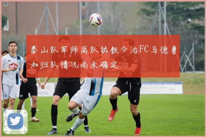 泰山队军师离队执教今治FC马德鲁加归队情况尚未确定