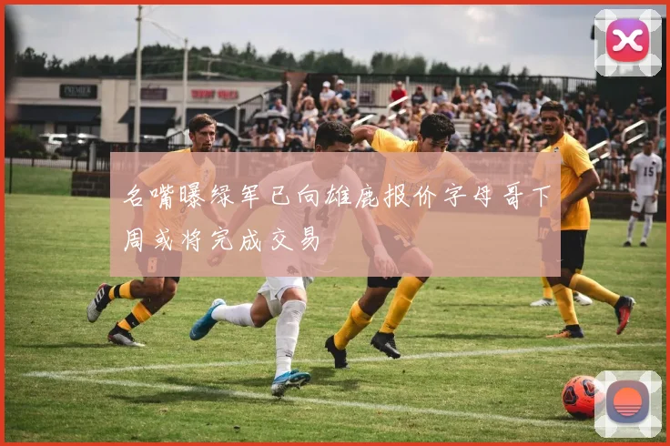 名嘴曝绿军已向雄鹿报价字母哥下周或将完成交易