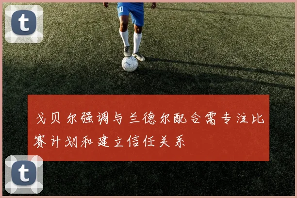 戈贝尔强调与兰德尔配合需专注比赛计划和建立信任关系